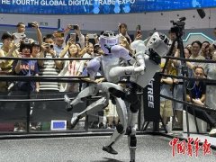 正在手艺自从性、法则话语权、成长包涵性三沉