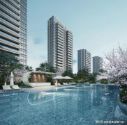 来自坡的仁恒置地